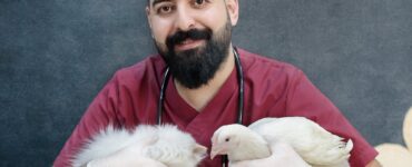 a man in red shirt holding a cat and a chicken