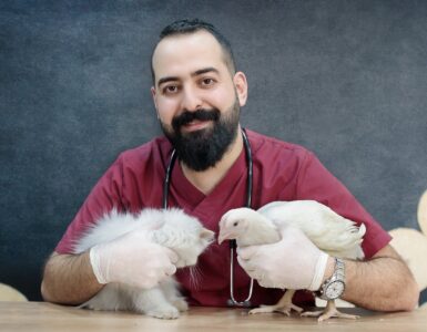 a man in red shirt holding a cat and a chicken