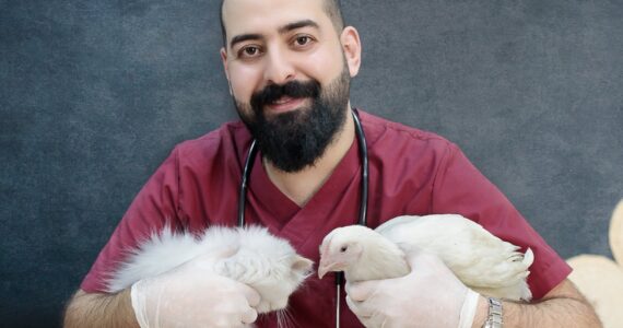 a man in red shirt holding a cat and a chicken