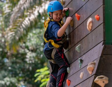 a boy with blue helmet climbing on a wooden wall